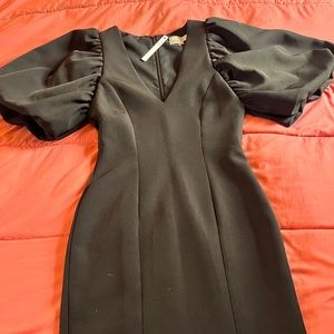 NWT Statement fitted dress with puff sleeves.